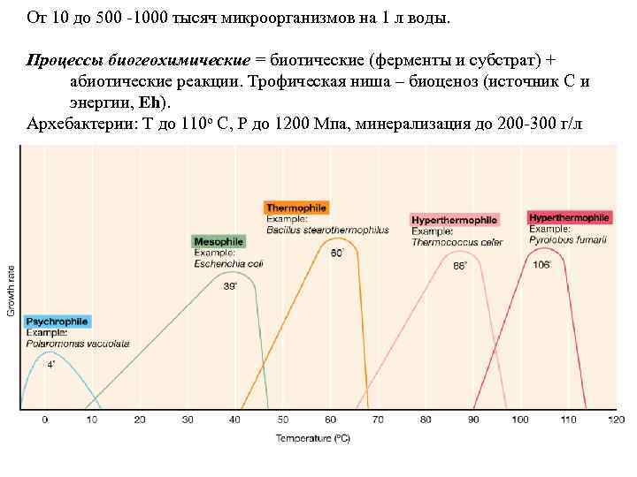 От 10 до 500 -1000 тысяч микроорганизмов на 1 л воды. Процессы биогеохимические =