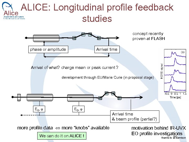 ALICE: Longitudinal profile feedback studies concept recently proven at FLASH phase or amplitude Arrival