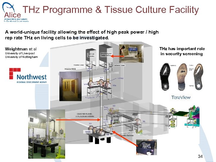 THz Programme & Tissue Culture Facility A world-unique facility allowing the effect of high