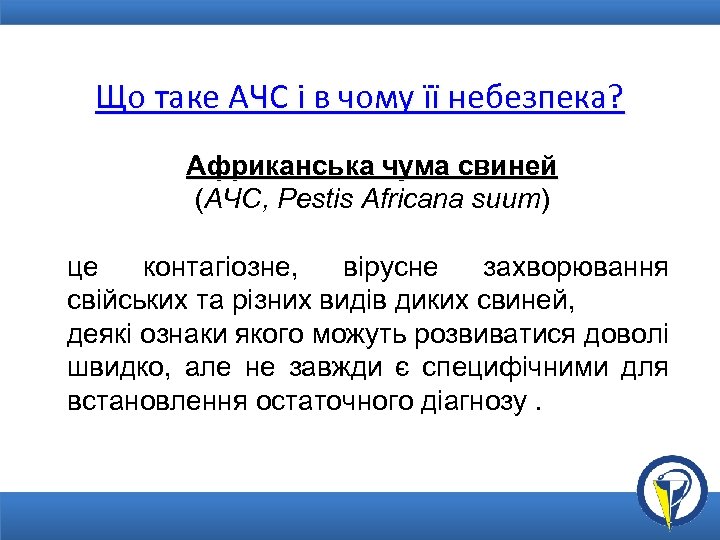 Що таке АЧС і в чому її небезпека? Африканська чума свиней (АЧС, Pestis Africana