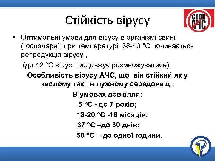 Стійкість вірусу • Оптимальні умови для вірусу в організмі свині (господаря): при температурі 38