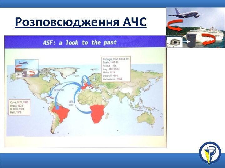 Розповсюдження АЧС 