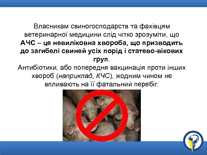 Власникам свиногосподарств та фахівцям ветеринарної медицини слід чітко зрозуміти, що АЧС – це невиліковна