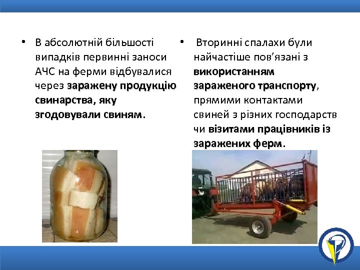  • • В абсолютній більшості випадків первинні заноси АЧС на ферми відбувалися через