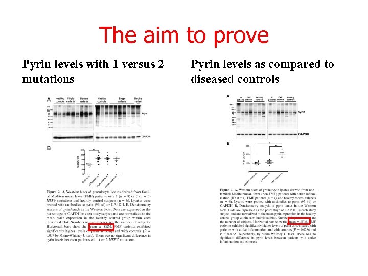 The aim to prove Pyrin levels with 1 versus 2 mutations Pyrin levels as