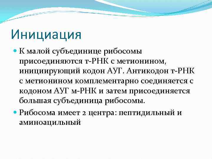 Инициация К малой субъединице рибосомы присоединяются т-РНК с метионином, инициирующий кодон АУГ. Антикодон т-РНК