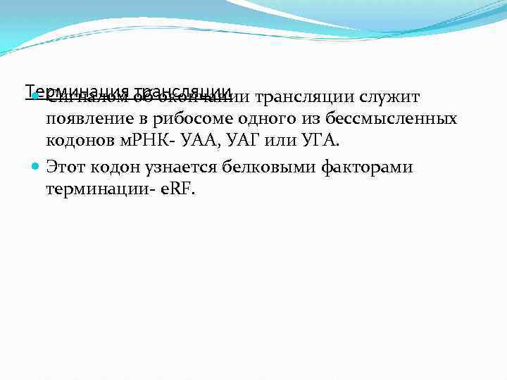 Терминация об окончании трансляции служит Сигналом трансляции появление в рибосоме одного из бессмысленных кодонов