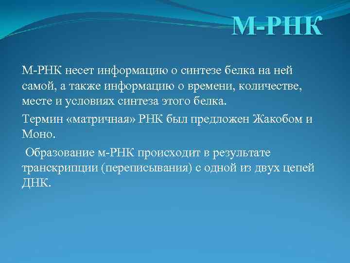 М-РНК несет информацию о синтезе белка на ней самой, а также информацию о времени,
