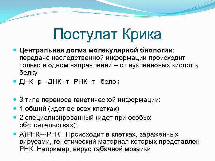 Какая схема соответствует главному постулату или центральной догме молекулярной биологии