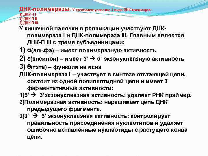 Днк полимеразой. Виды ДНК полимераз. ДНК полимеразы прокариот. Функции ДНК полимеразы. Характеристика ДНК полимераз.