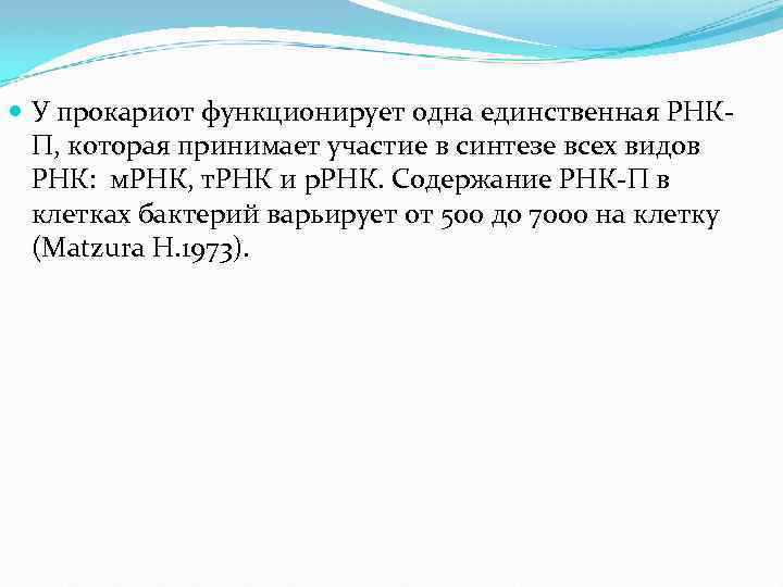  У прокариот функционирует одна единственная РНКП, которая принимает участие в синтезе всех видов