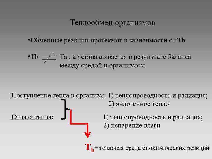 Теплообмен организмов • Обменные реакции протекают в зависимости от Тb • Тb Тa ,