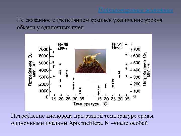 Пойкилотермные животные Не связанное с трепетанием крыльев увеличение уровня обмена у одиночных пчел Потребление