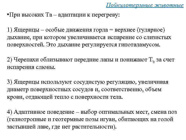 Пойкилотермные животные • При высоких Та – адаптации к перегреву: 1) Ящерицы – особые