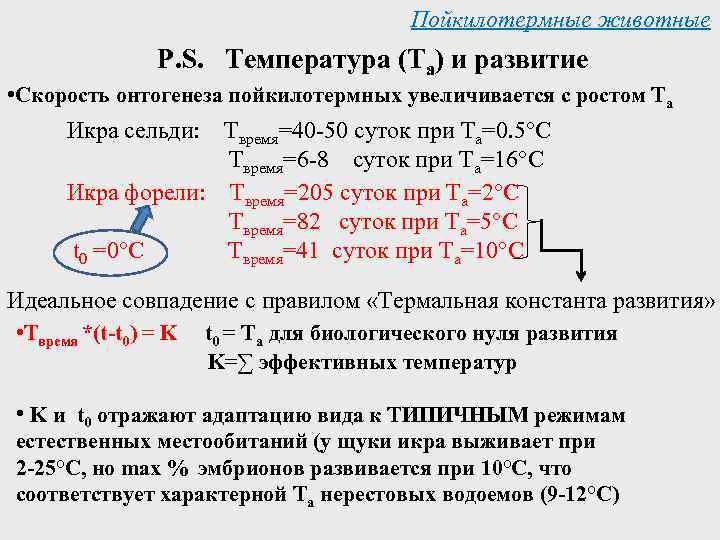 Пойкилотермные животные P. S. Температура (Та) и развитие • Скорость онтогенеза пойкилотермных увеличивается с