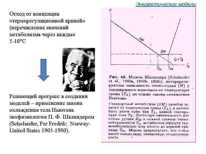 Энергетические модели Отход от концепции «терморегуляционной кривой» (перечисление значений метаболизма через каждые 5 -10°С