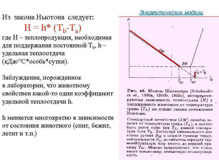 Из закона Ньютона следует: H = h* (Tb-Ta) где H – теплопродукция, необходимая для