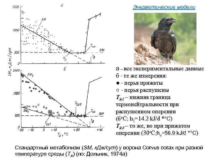 Энергетические модели а – все экспериментальные данные б - те же измерения: ● -