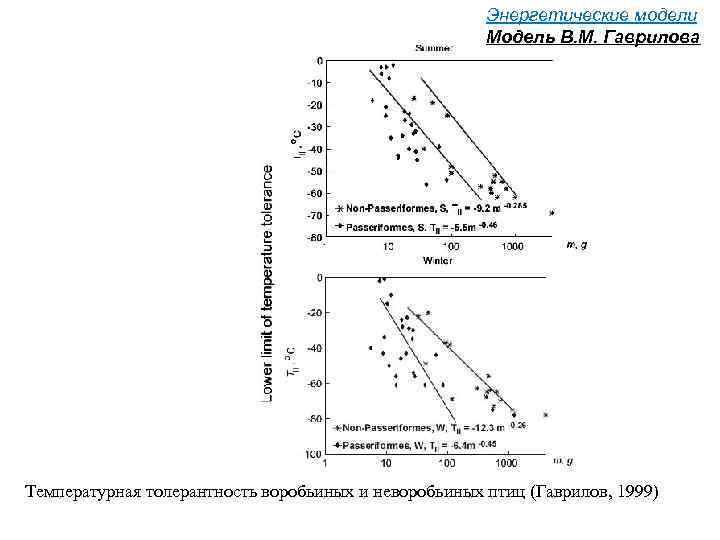 Энергетические модели Модель В. М. Гаврилова Температурная толерантность воробьиных и неворобьиных птиц (Гаврилов, 1999)