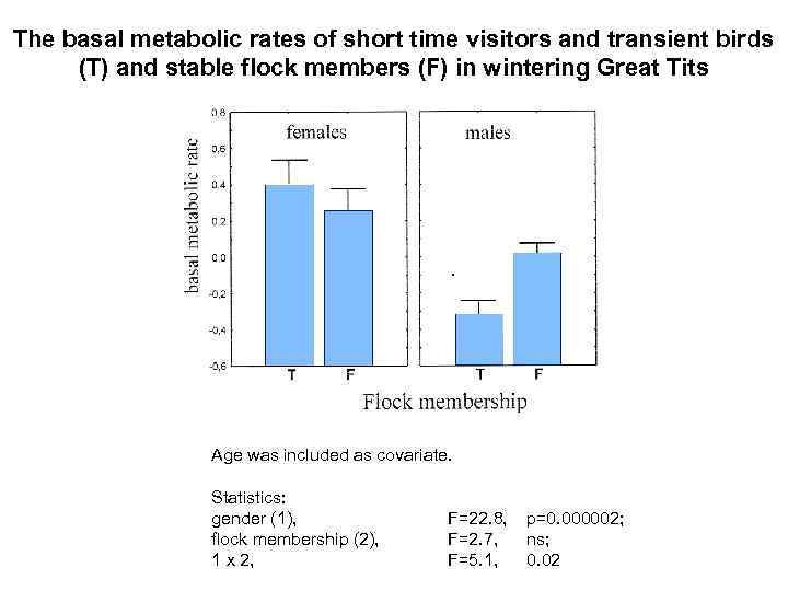 The basal metabolic rates of short time visitors and transient birds (T) and stable