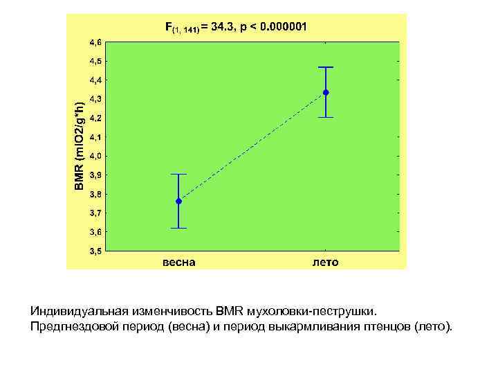 Индивидуальная изменчивость BMR мухоловки-пеструшки. Предгнездовой период (весна) и период выкармливания птенцов (лето). 