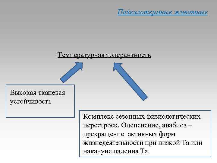 Пойкилотермные животные Температурная толерантность Высокая тканевая устойчивость Комплекс сезонных физиологических перестроек. Оцепенение, анабиоз –