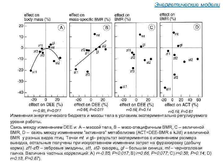 Энергетические модели r=-0. 85, P=0. 017 r=0. 66, P=0. 077 r=0. 58, P=0. 14