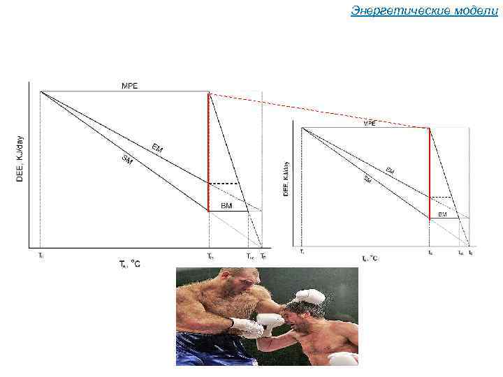 Энергетические модели 