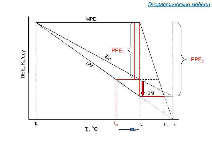 Энергетические модели PPE 1 PPE 2 Tlc 