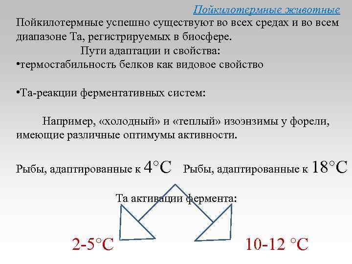 Пойкилотермные животные Пойкилотермные успешно существуют во всех средах и во всем диапазоне Та, регистрируемых