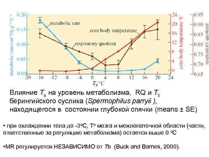 Влияние Ta на уровень метаболизма, RQ и Tb берингийского суслика (Spermophilus parryii ), находящегося