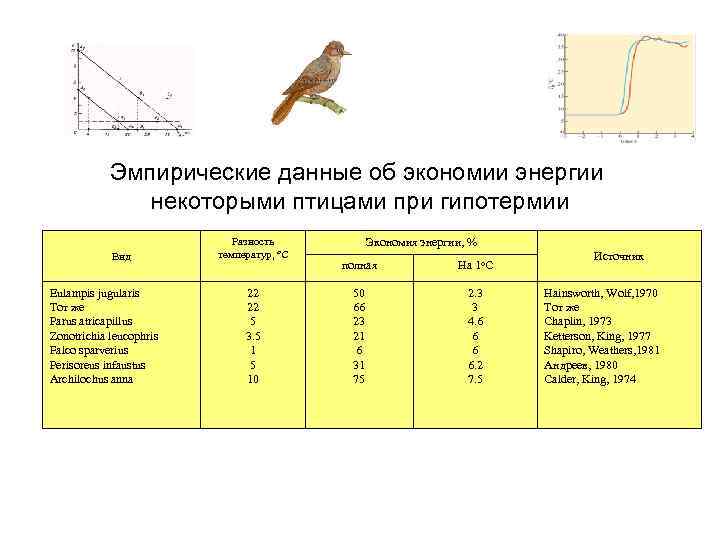 Эмпирические данные об экономии энергии некоторыми птицами при гипотермии Вид Eulampis jugularis Тот же