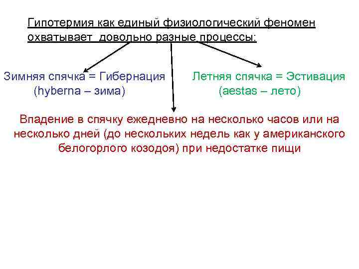 Гипотермия как единый физиологический феномен охватывает довольно разные процессы: Зимняя спячка = Гибернация Летняя