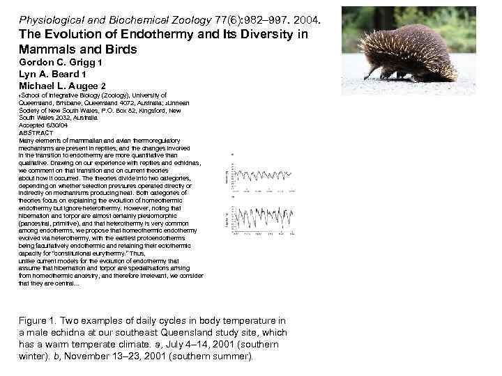 Physiological and Biochemical Zoology 77(6): 982– 997. 2004. The Evolution of Endothermy and Its