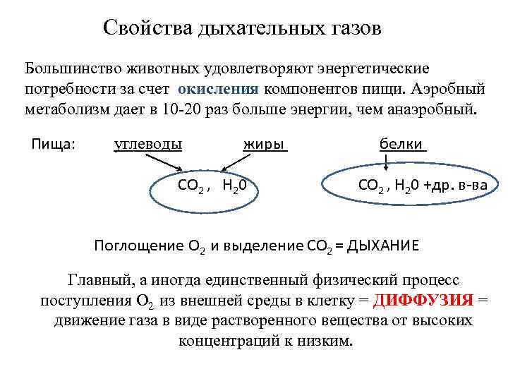 Свойства дыхательных газов Большинство животных удовлетворяют энергетические потребности за счет окисления компонентов пищи. Аэробный