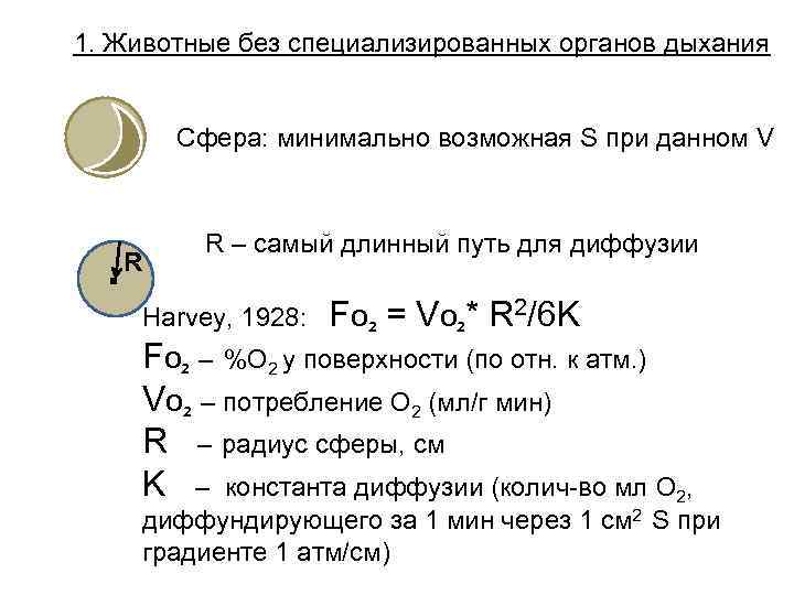1. Животные без специализированных органов дыхания Сфера: минимально возможная S при данном V .