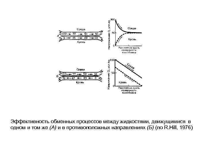 Эффективность обменных процессов между жидкостями, движущимися в одном и том же (А) и в