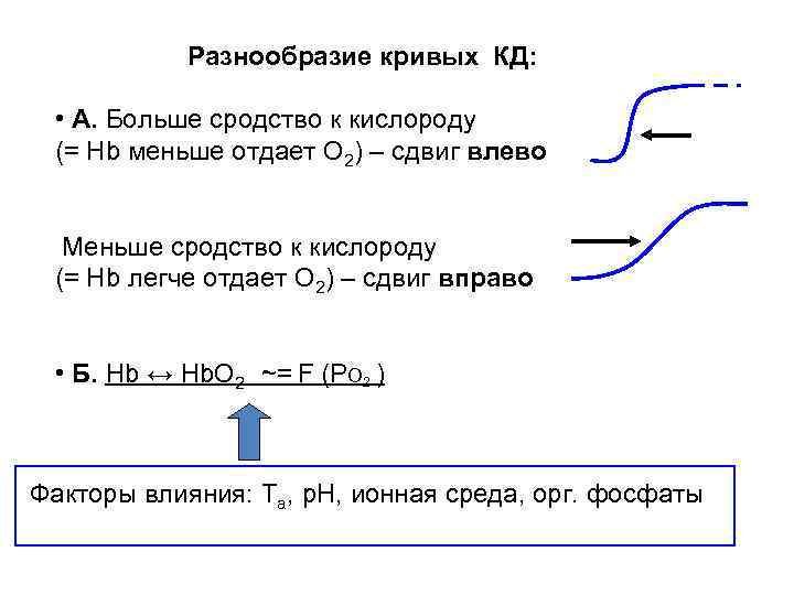  Разнообразие кривых КД: • А. Больше сродство к кислороду (= Hb меньше отдает