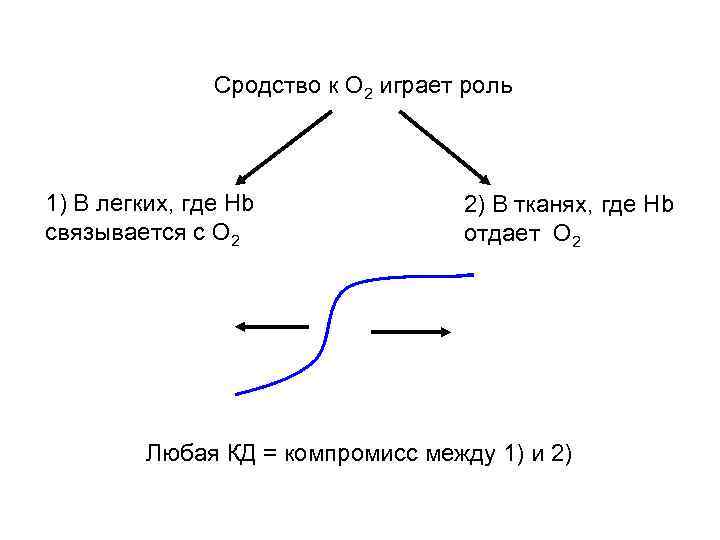 Сродство к О 2 играет роль 1) В легких, где Нb связывается с О