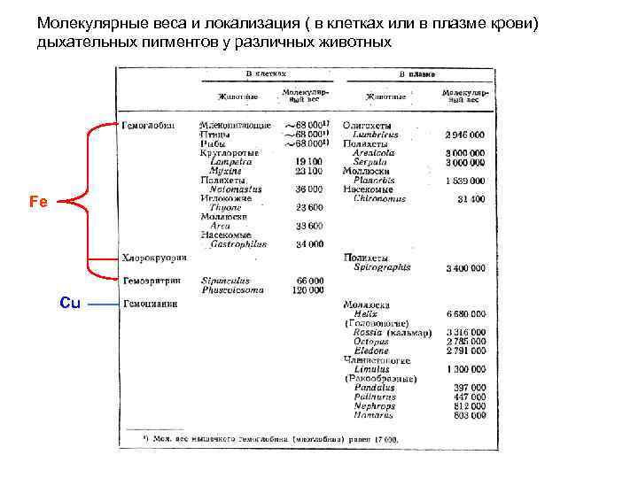 Молекулярные веса и локализация ( в клетках или в плазме крови) дыхательных пигментов у