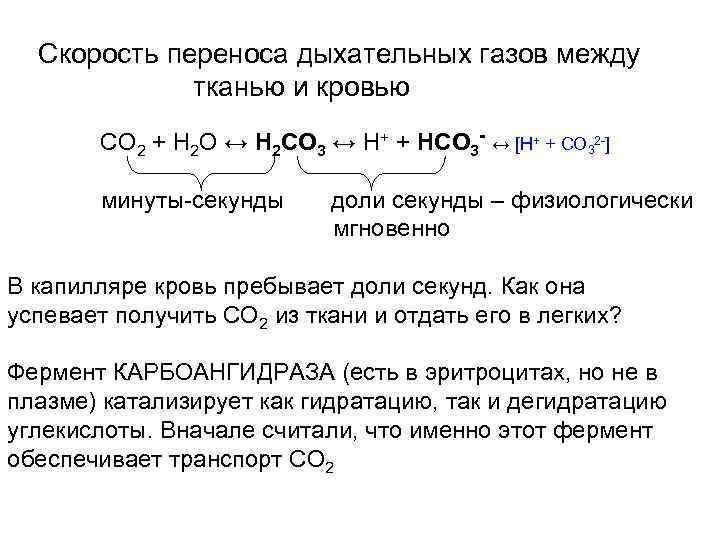 Скорость переноса дыхательных газов между тканью и кровью CO 2 + H 2 O