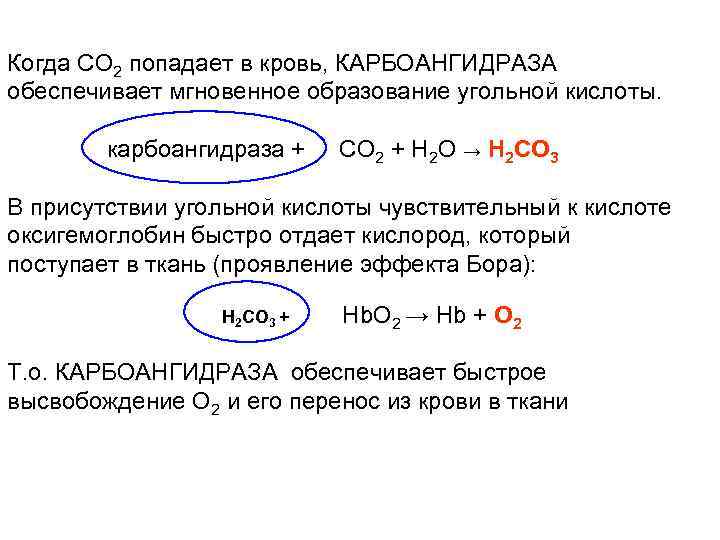 Когда CO 2 попадает в кровь, КАРБОАНГИДРАЗА обеспечивает мгновенное образование угольной кислоты. карбоангидраза +