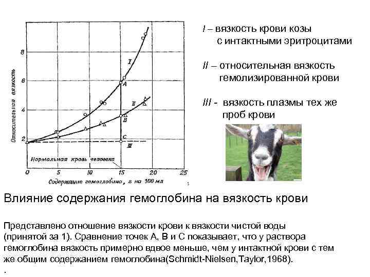 I – вязкость крови козы с интактными эритроцитами II – относительная вязкость гемолизированной крови