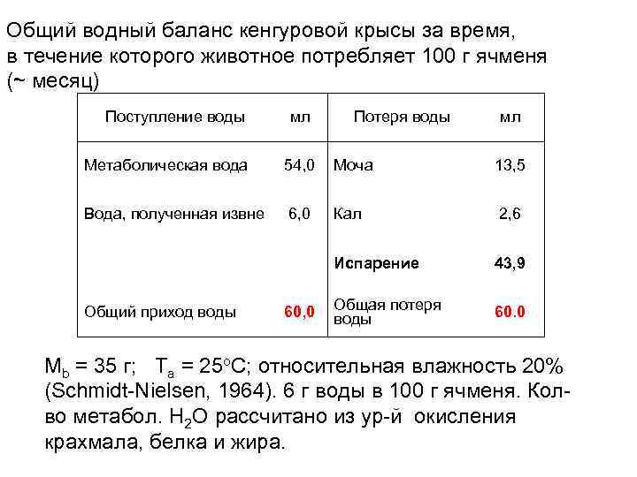 Общий водный баланс кенгуровой крысы за время, в течение которого животное потребляет 100 г