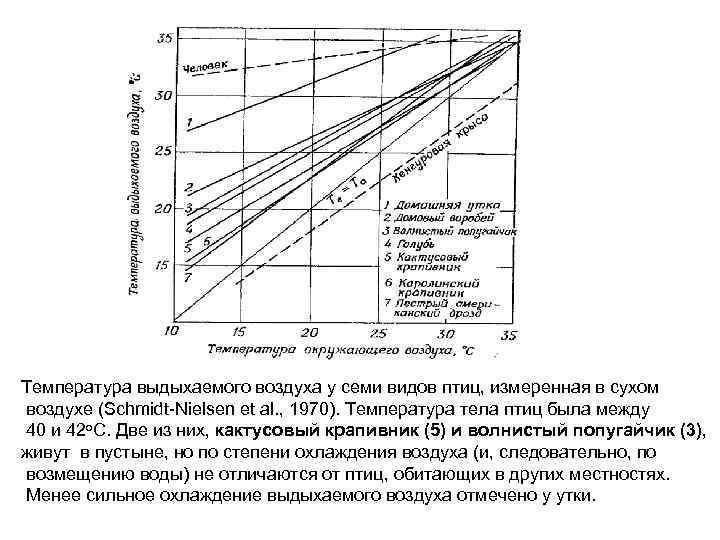 Температура выдыхаемого воздуха у семи видов птиц, измеренная в сухом воздухе (Schmidt-Nielsen et al.