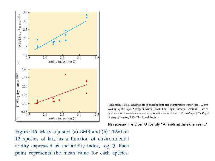 Из проекта The Open University “ Animals at the extremes: …” 