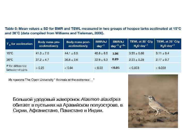 1. 06 0. 89 < 0. 05 Из проекта The Open University “ Animals