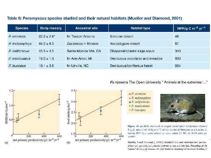 Из проекта The Open University “ Animals at the extremes: …” 