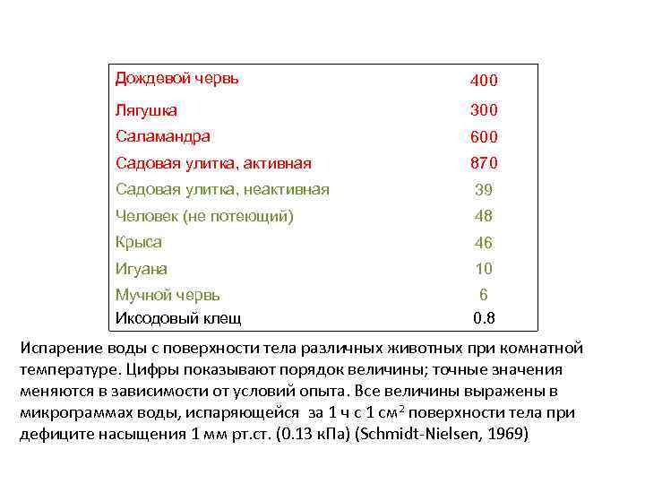 Дождевой червь 400 Лягушка 300 Саламандра 600 Садовая улитка, активная 870 Садовая улитка, неактивная