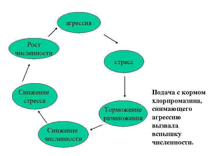 агрессия Рост численности стресс Снижение стресса Торможение размножения Снижение численности Подача с кормом хлорпромазина,